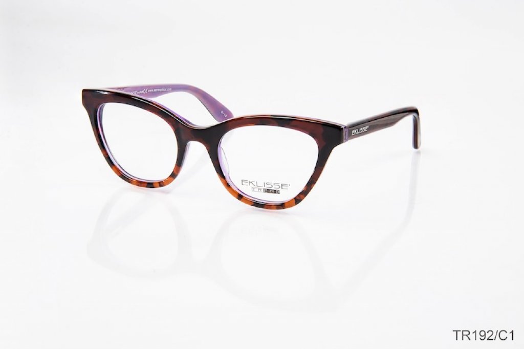 OUR EKLISSE TREND MODEL IS A TRUE TREND FOR 2014 FROM SILMO 2013 PARIS!