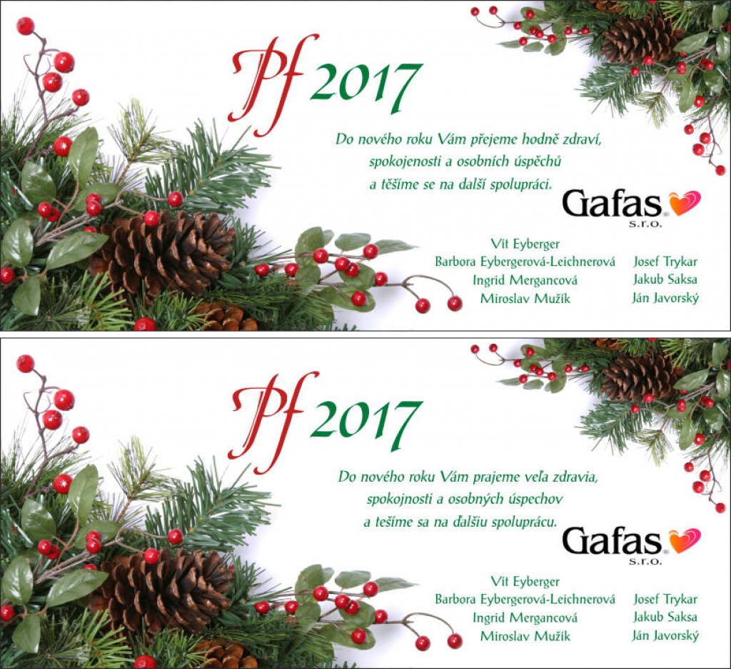 We wish you a Merry Christmas and a successful New Year 2017!