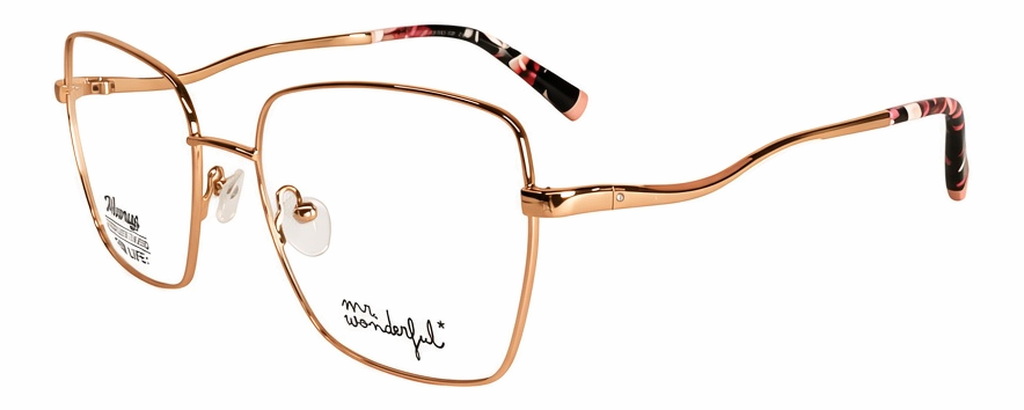 Mr. Wonderful MW 79085/100 — MW79085_100